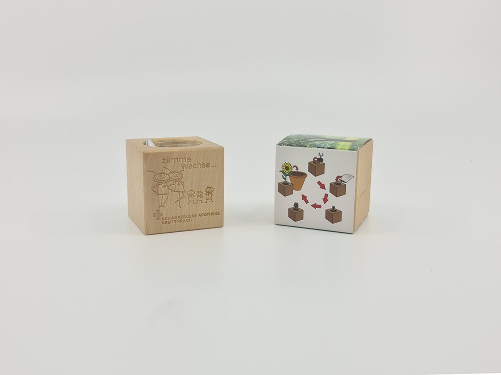 Wooden cube with seeds